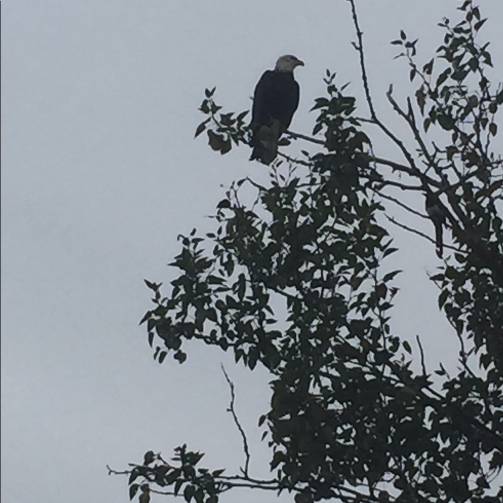 Meet your Posher, Lucy